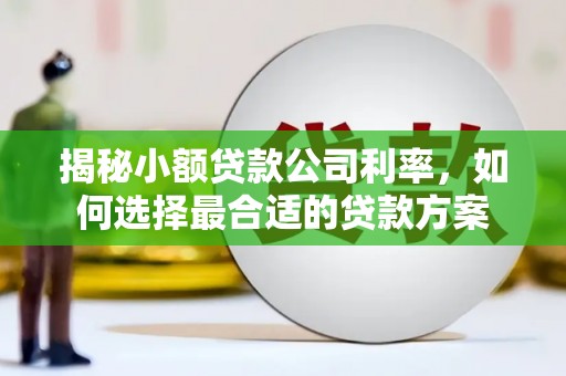 青羊揭秘小额贷款公司利率，如何选择最合适的贷款方案
