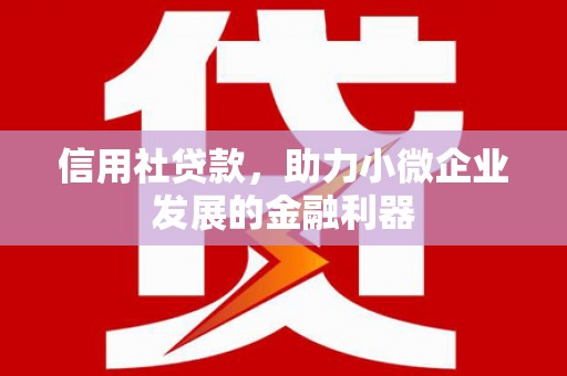 青羊信用社贷款，助力小微企业发展的金融利器