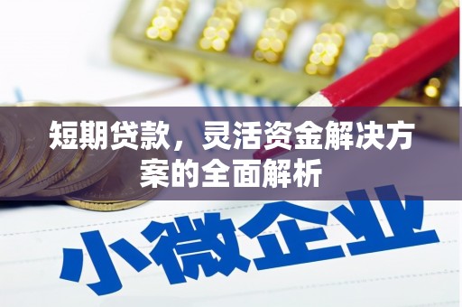 青羊短期贷款，灵活资金解决方案的全面解析