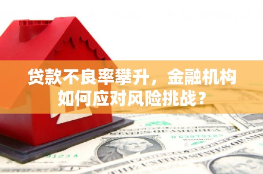 青羊贷款不良率攀升，金融机构如何应对风险挑战？