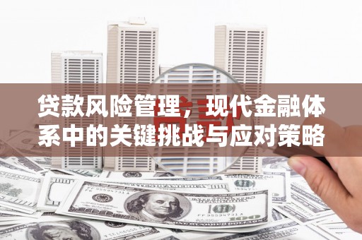 青羊贷款风险管理，现代金融体系中的关键挑战与应对策略