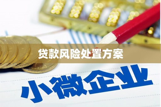青羊贷款风险处置方案