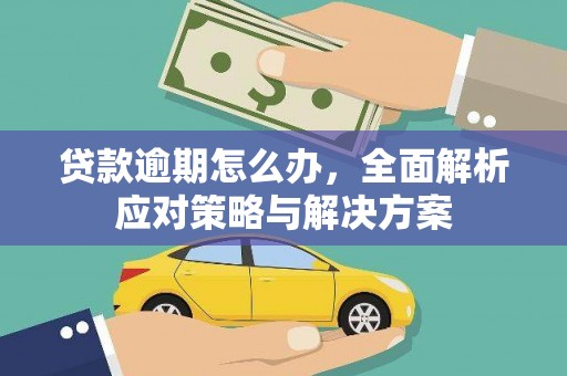 青羊贷款逾期怎么办，全面解析应对策略与解决方案