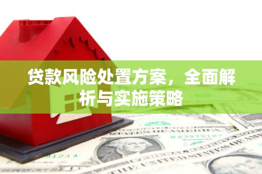 青羊贷款风险处置方案，全面解析与实施策略