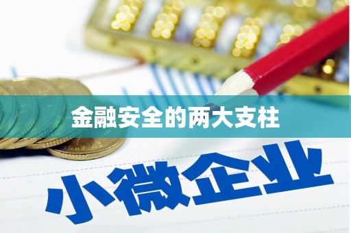 青羊金融安全的两大支柱